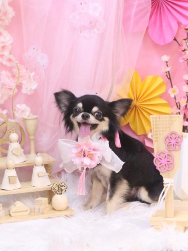 20250323ラブくん